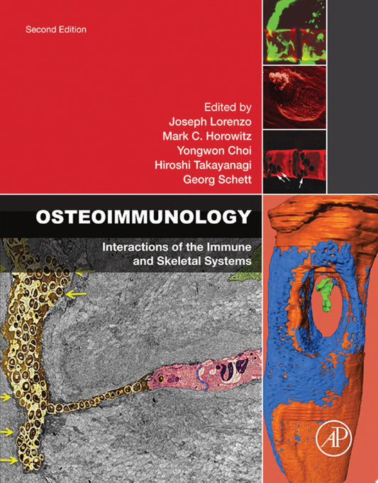 Lippincott’s Illustrated Reviews Flash Cards: Microbiology