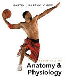 Essentials of Anatomy & Physiology