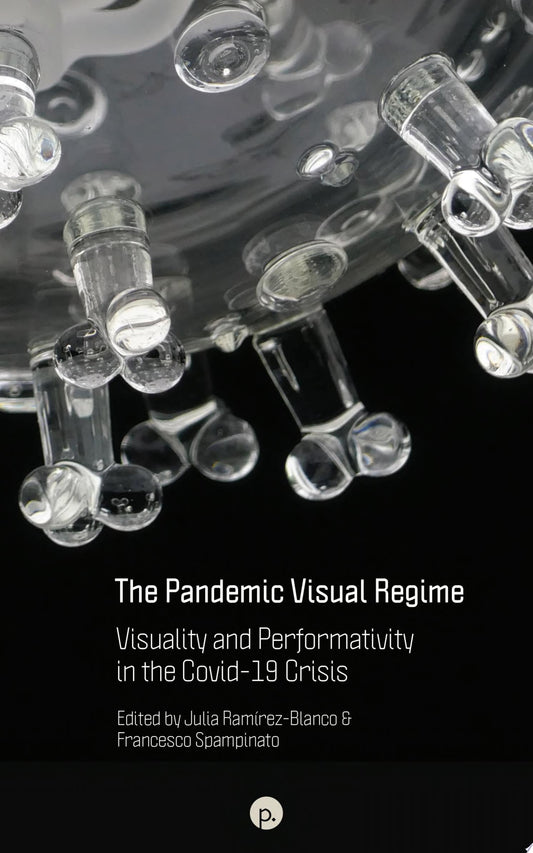 The Pandemic Visual Regime: Visuality and Performativity in the Covid-19 Crisis