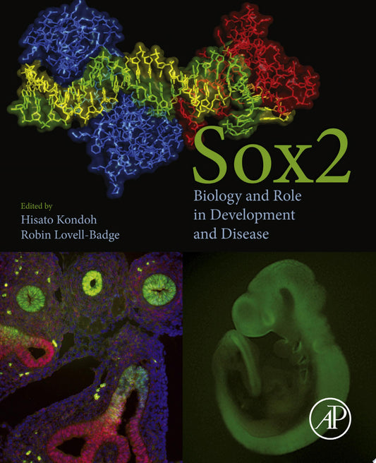 Interleukins in Cancer Biology: Their Heterogeneous Role