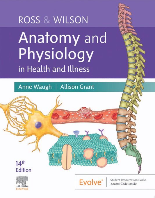 Anatomy and Physiology