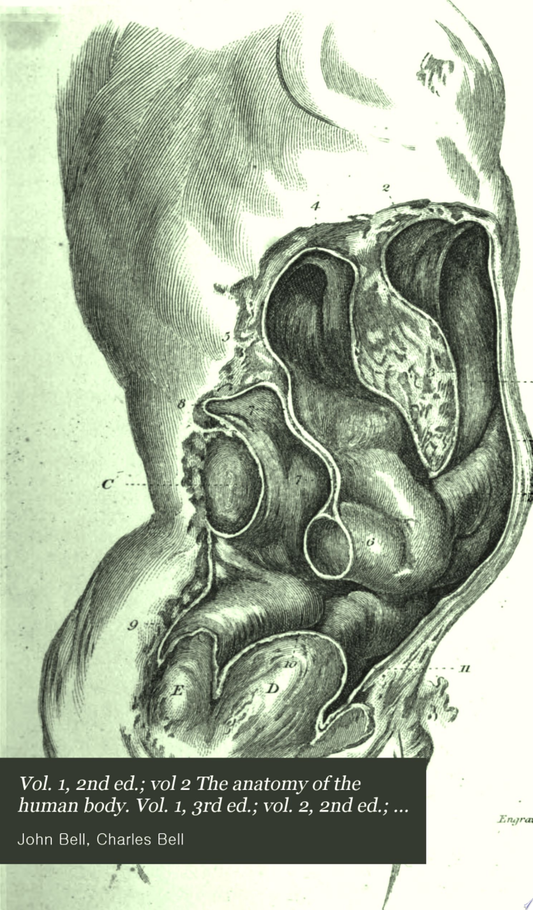 Internal Organs , 2nd Edition