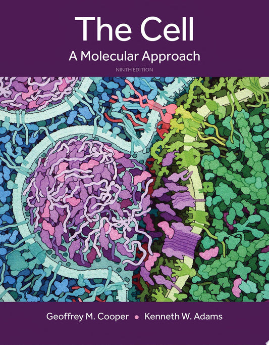 Medicinal Plants in Asia and Pacific for Parasitic Infections: Botany, Ethnopharmacology, Molecular Basis, and Future Prospect
