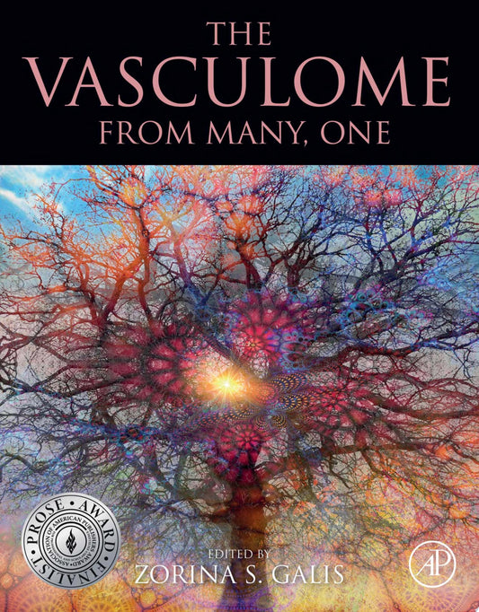 The Vasculome: From Many, One